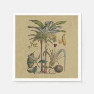 Guardanapo De Papel Fruta de Palma Tropical Antica Botânica