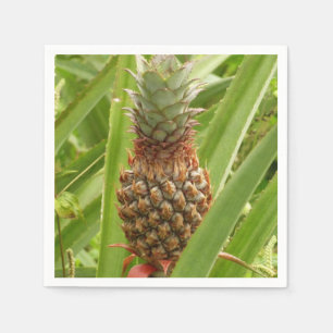 Guardanapo De Papel Fruta tropical de ananás selvagem na natureza