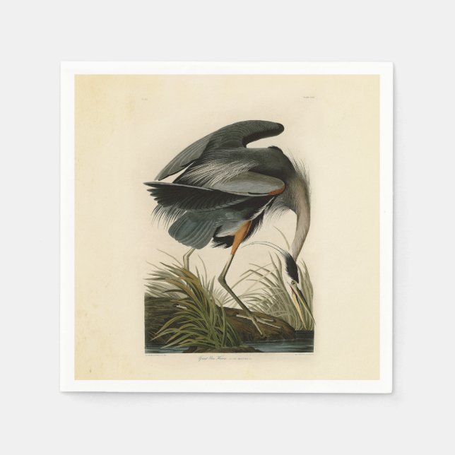 Guardanapo De Papel Garça-azul-grande de Audubon Marsh Bird (Frente)