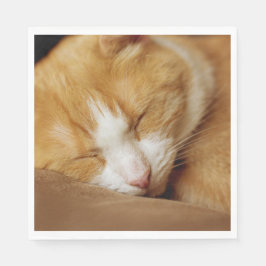 Guardanapo De Papel Gatinho Dormindo