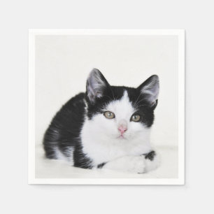 Guardanapo De Papel Gatinho preto e branco