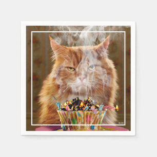 Guardanapo De Papel Gato Engraçado Com Cupcake De Aniversário Derret