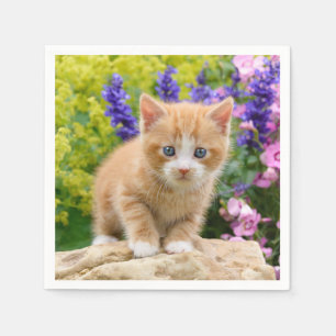 Guardanapo De Papel Gato Gengibre Fofo Gengibre Gengibre Fumado em Pet