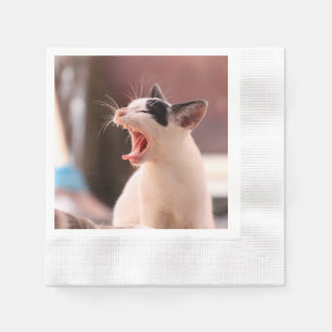 Guardanapo De Papel Gato perigoso maravilhoso