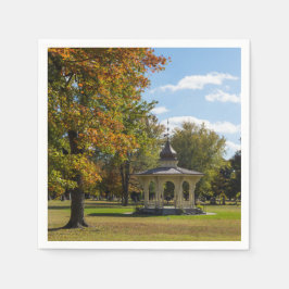 Guardanapo De Papel Gazebo de Outono no Maple Park
