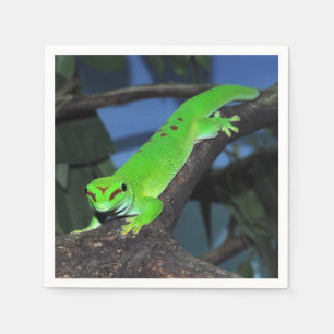 Guardanapo De Papel Geco do dia de Madagascar
