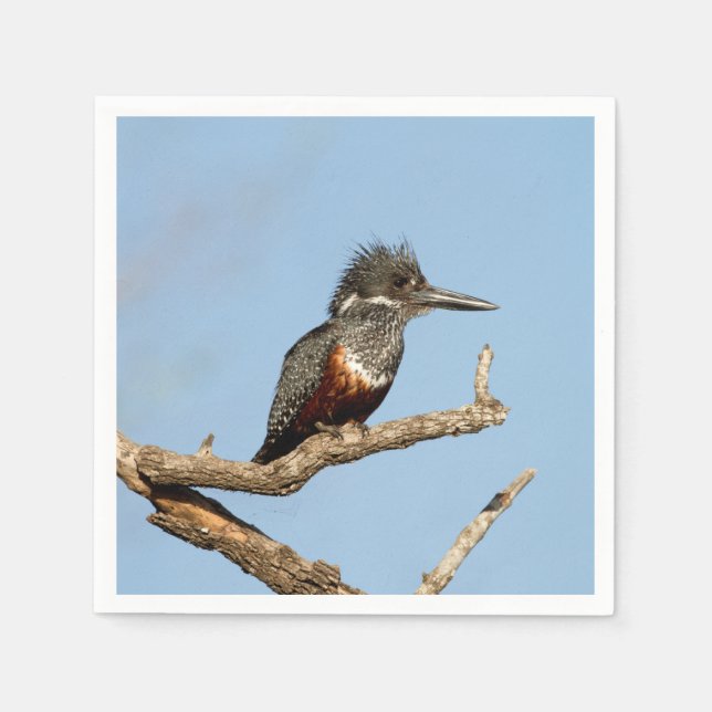Guardanapo De Papel Giant Kingfisher (Frente)