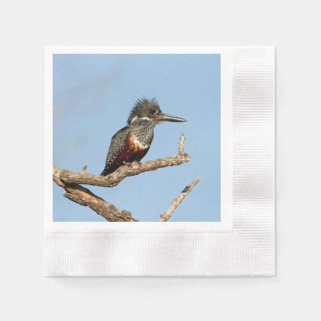 Guardanapo De Papel Giant Kingfisher (Frente)