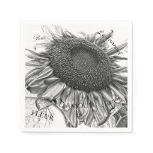 Girassóis Gigantes Vintage Black and White Script