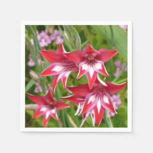 Guardanapo De Papel Gladiolas Vermelhas e Brancas Verão Botânico