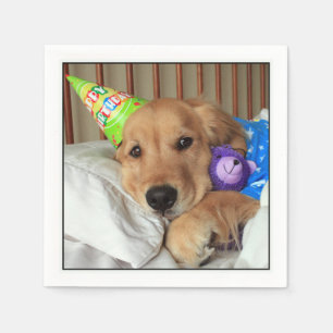 Guardanapo De Papel Golden retriever sonolento no aniversário dos