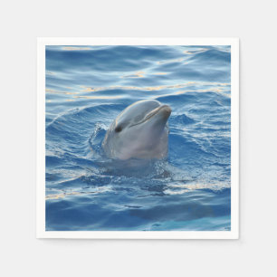 Guardanapo De Papel Golfinho
