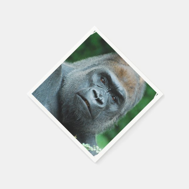 Guardanapo De Papel Gorila Perplexa (Canto)