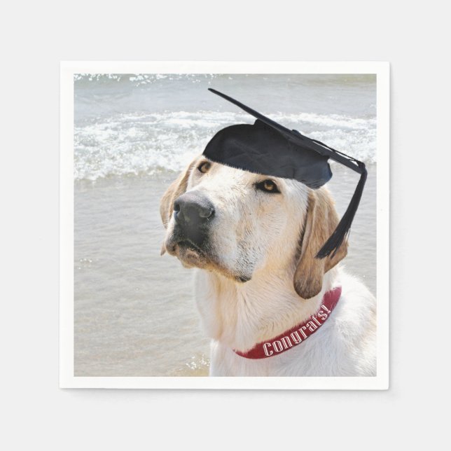 Guardanapo De Papel Graduado Labrador Retriever Com Capa (Frente)