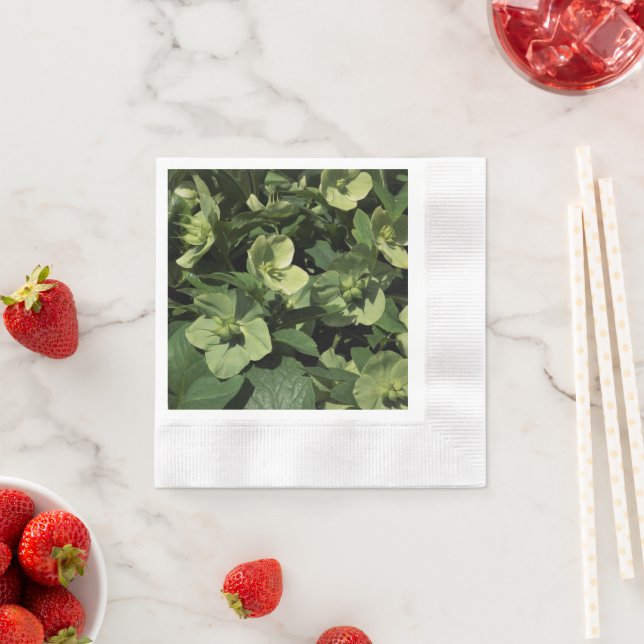 Guardanapo De Papel Green Hellebore (Insitu)