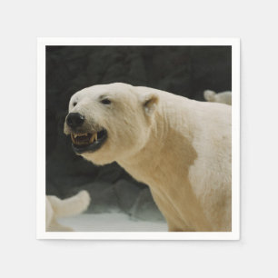 Guardanapo De Papel Grin do Urso Polar