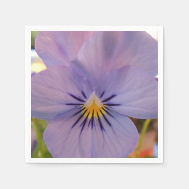 Guardanapo De Papel Haetzlern (Frente)