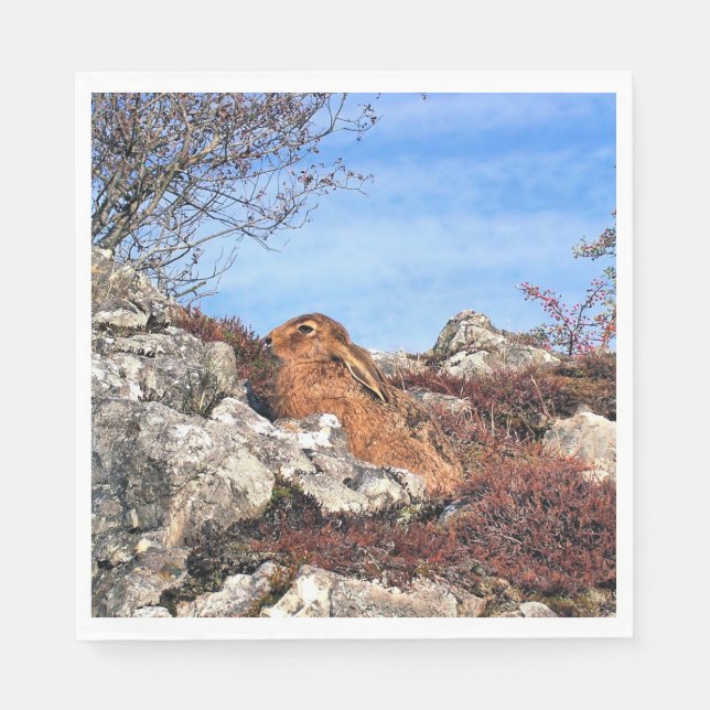 GUARDANAPO DE PAPEL HARE (Frente)