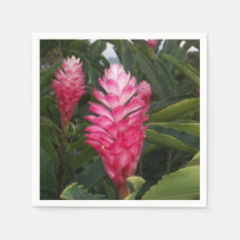 Hawaiian Ginger Napkins