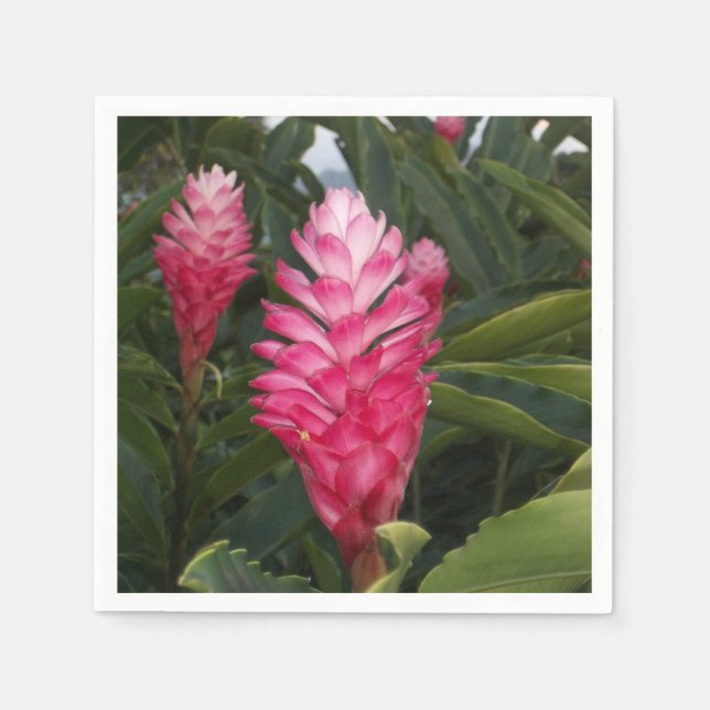 Guardanapo De Papel Hawaiian Ginger Napkins (Frente)