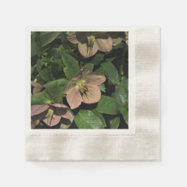 Guardanapo De Papel Hellebore Rosa
