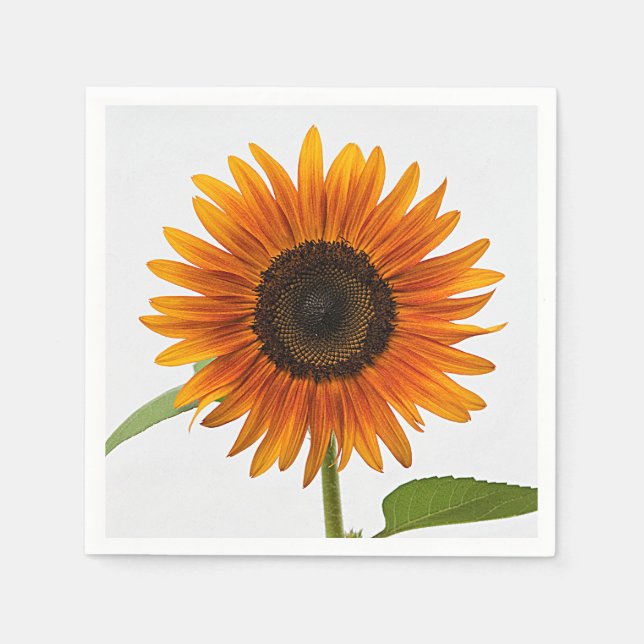 Guardanapo De Papel Horário de verão de Sunflower (Frente)