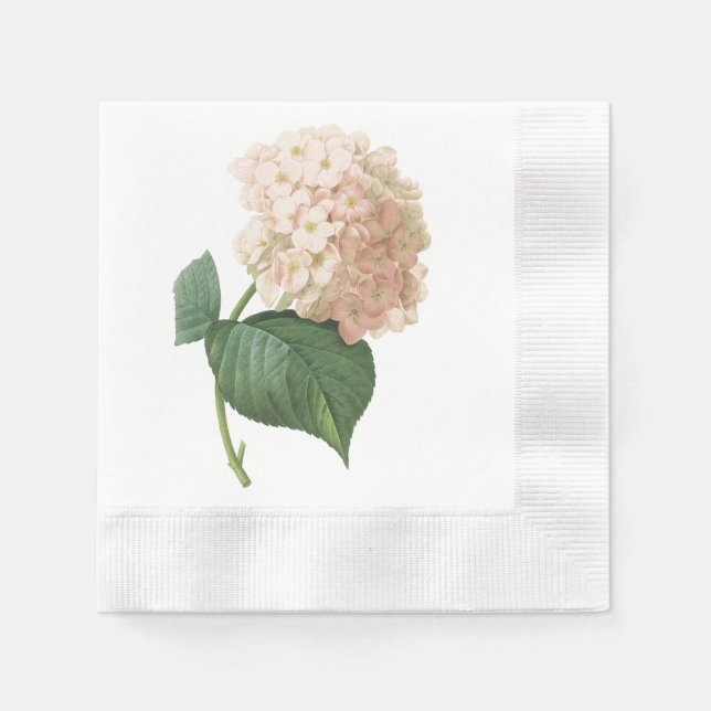 Guardanapo De Papel hortensia(Hydrangea sp.) por Redouté (Frente)