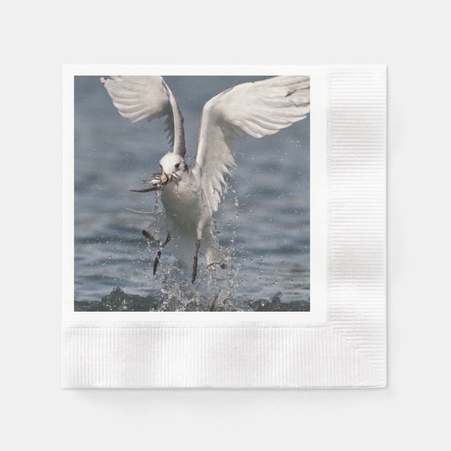 Guardanapo De Papel Hovering Kittiwake (Frente)