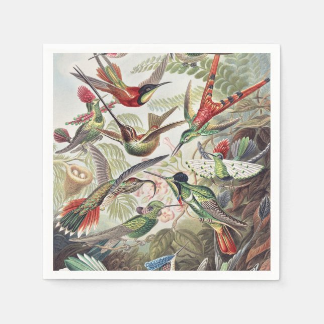 Guardanapo De Papel Hummingbird Bird Wildlife Classic Painting (Frente)