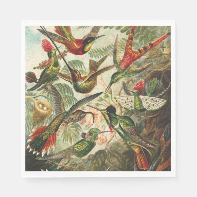 Guardanapo De Papel Hummingbird Napkins ou Decoupage (Frente)