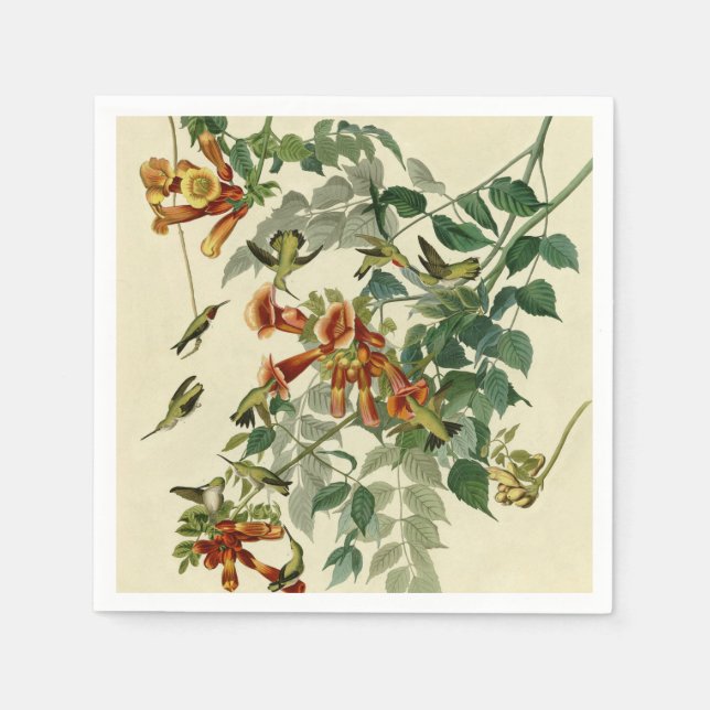 Guardanapo De Papel Hummingbird Ruby Throbon Audubon (Frente)