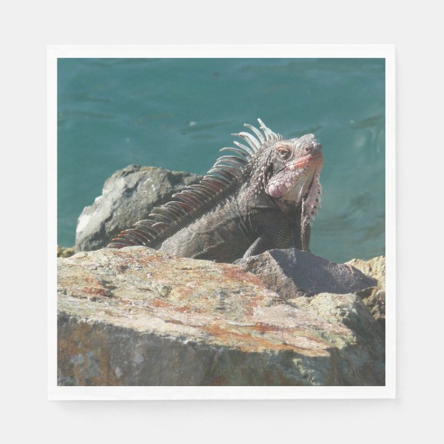 Guardanapo De Papel Iguana em St. Thomas (Frente)