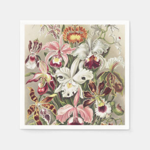 Guardanapo De Papel Impressão Botânica Vintage de Orquídea de Ernst Ha