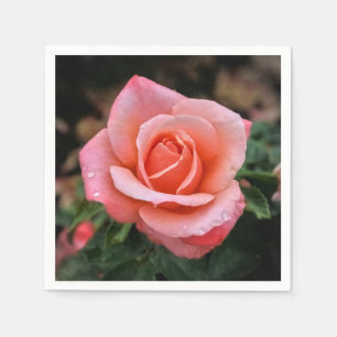 Guardanapo De Papel Impressão de Arte Botânica Rosa Romântica