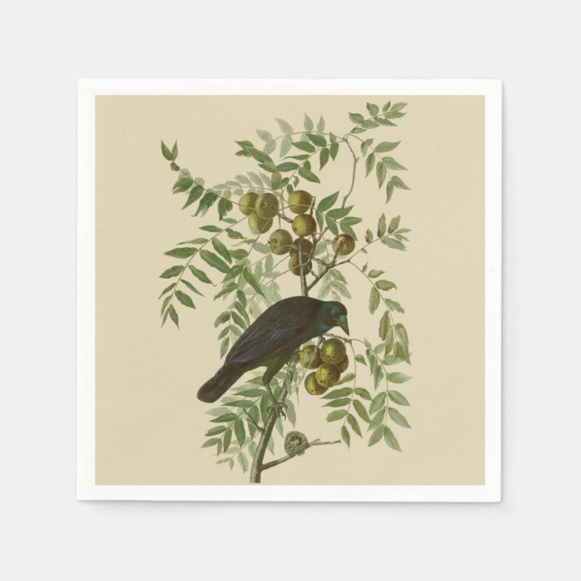 Guardanapo De Papel Impressão de pássaro rouxinol-púrpura de Audubon V (Frente)