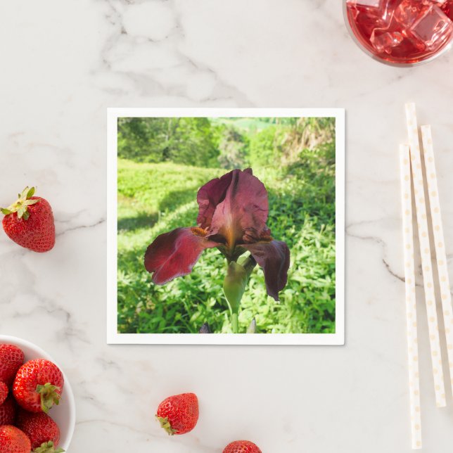 Guardanapo De Papel Iris Paper Napkins (Insitu)