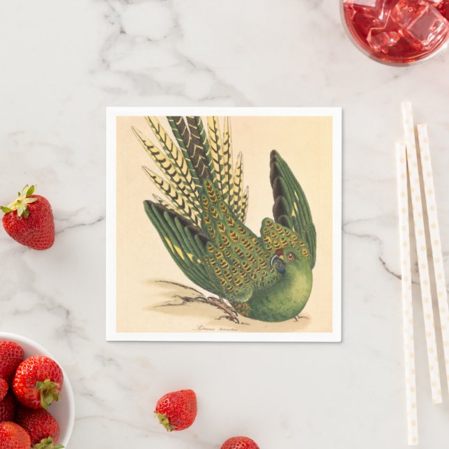 Guardanapo De Papel James Sowerby Ground Parrot, Psittacus terrestris (Insitu)