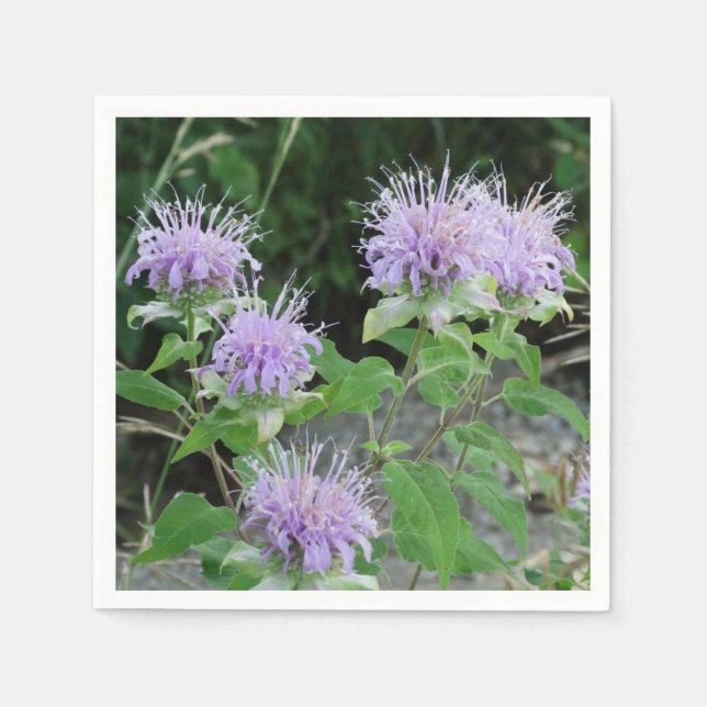 Guardanapo De Papel Jardim Flor 3 (Frente)