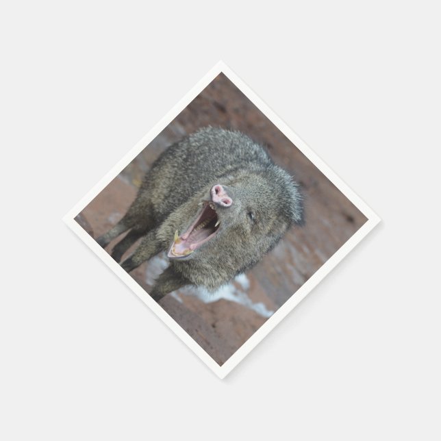 Guardanapo De Papel Javalina com sua boca aberta (Canto)