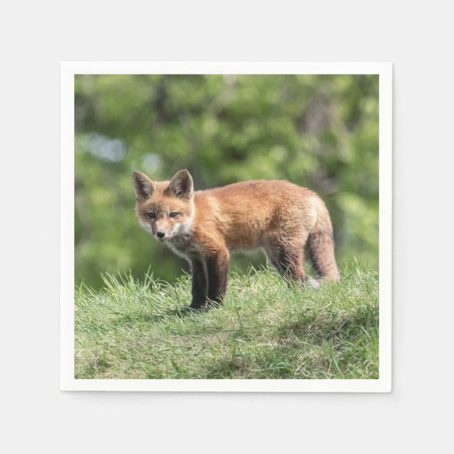 Guardanapo De Papel Jogo do Fox vermelho (Frente)