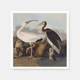 Guardanapo De Papel John James Audubon White Ibis Bird Print Classic