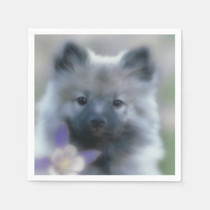 Guardanapo De Papel Keeshond e Columbine - Fotografia de Cães