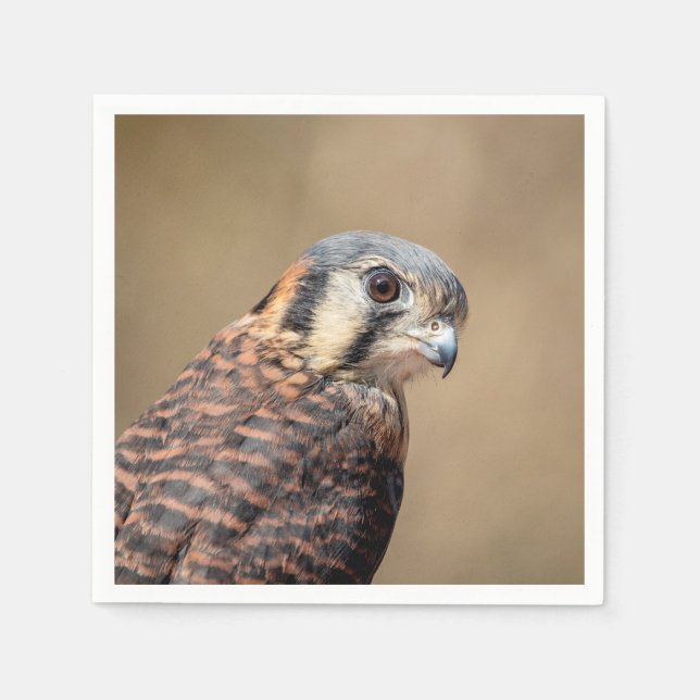 Guardanapo De Papel Kestrel Americano (Frente)