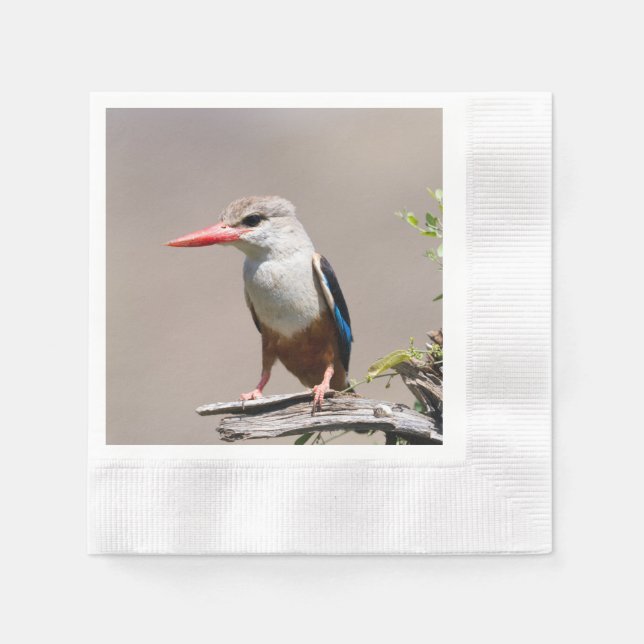 Guardanapo De Papel Kingfisher Cinza (Frente)