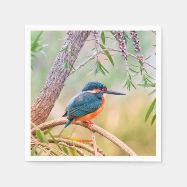 Guardanapo De Papel Kingfisher Perch no Branch (Frente)