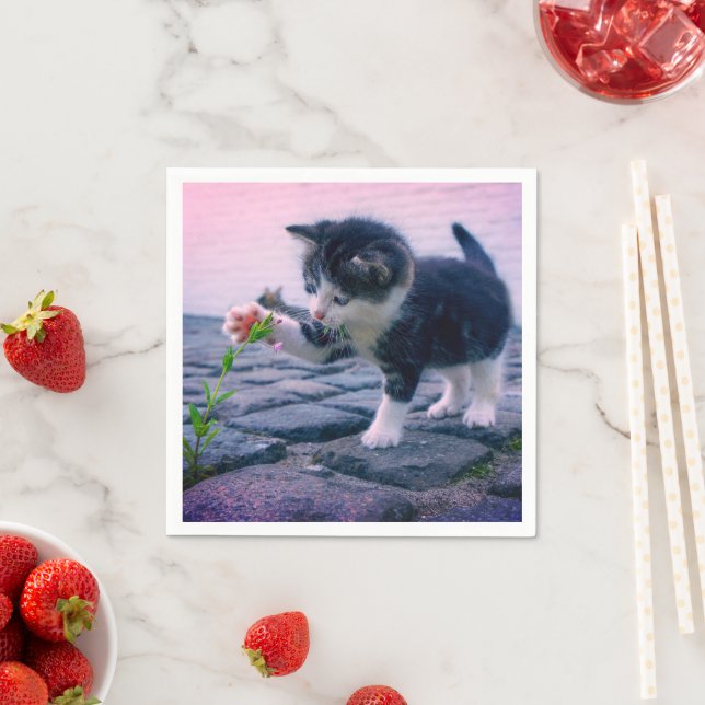 Guardanapo De Papel Kitten (Insitu)