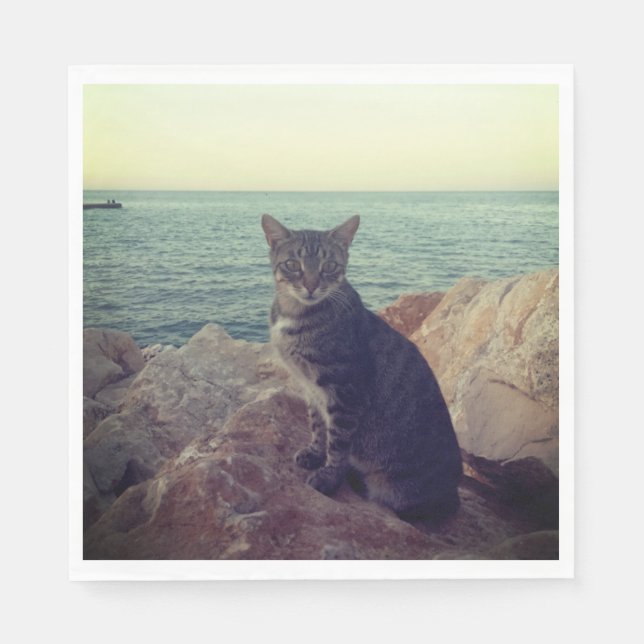 Guardanapo De Papel Kitten (Frente)