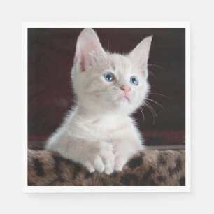 Guardanapo De Papel Kitten Branco Vulnerável