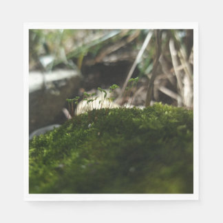 Guardanapo De Papel Kleine Mooswelt – Naturfotografie Serviette
