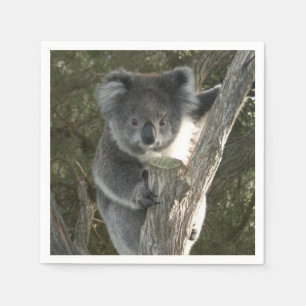 Guardanapo De Papel Koala bonito que escala uma árvore